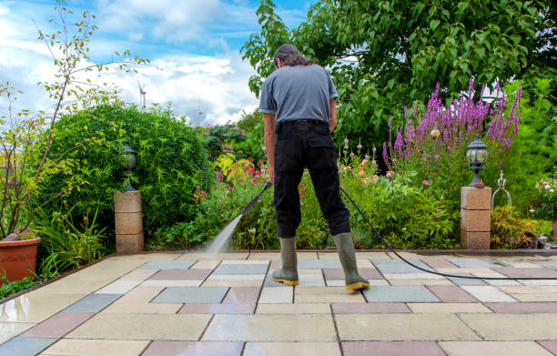 Best Sidewalk and Walkway Cleaning  in West Chester, PA